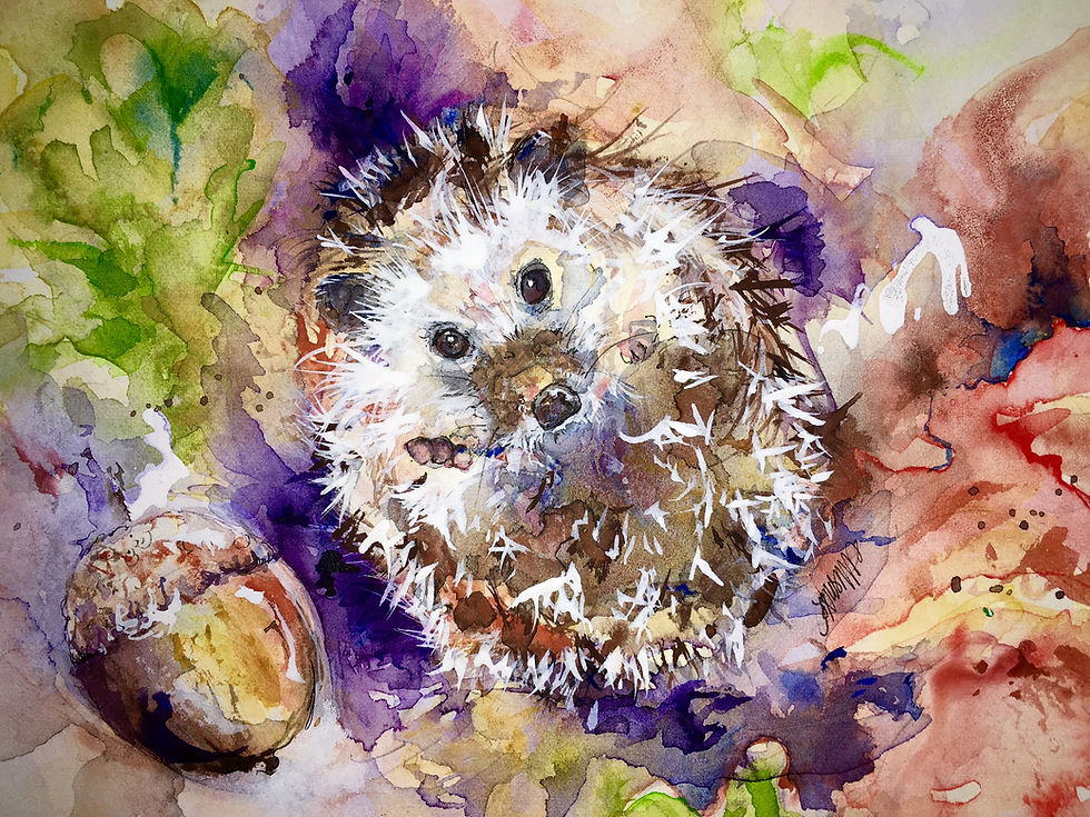 Hibernating Hoglet Painting Day