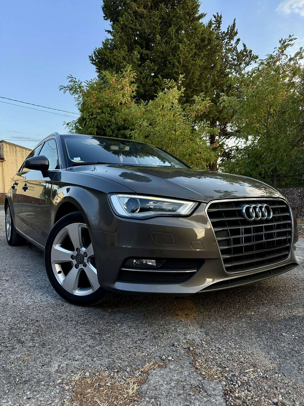 Miniature : Audi a3 1.6l TDI