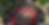 Thumbnail: Kingdom Spawn