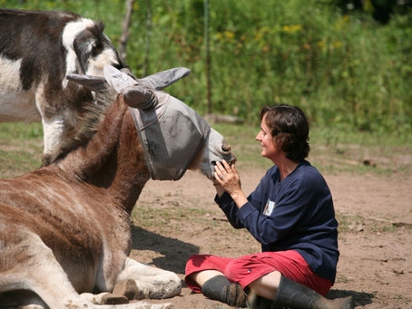 Welcome to our new website