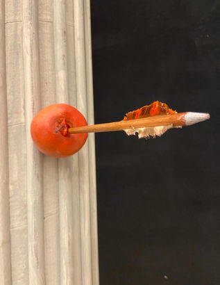 Apple Shot