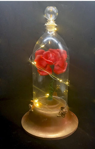 Enchanted Rose
