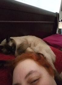 KittyNightCap.jpg