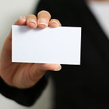 Business Introduction