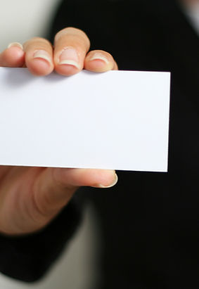 Business Introduction