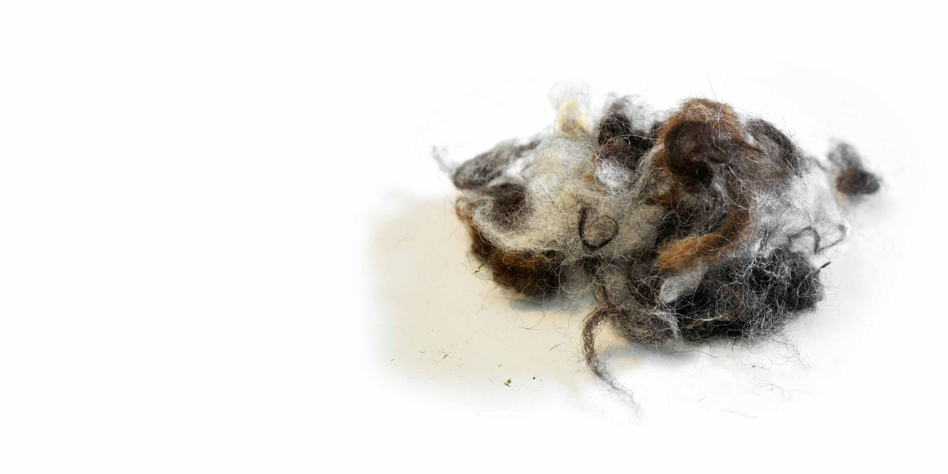 Haufen loser, brauner, grauer und weißer Whisperwool-Fasern auf weißem Hintergrund.