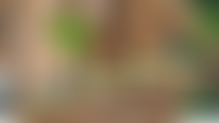 My Favorite Foraging Tools