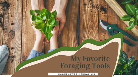 My Favorite Foraging Tools