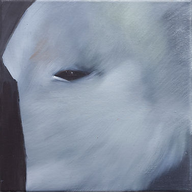 20 - Hoib Gallery - Photo Roman-Sten Tõnissoo.jpg