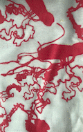 IMG_7541_AdobeExpress-2.gif