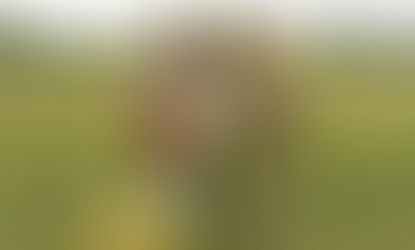 [공연장 옆 영화관] 영화 <문라이즈 킹덤>: 소년과 소녀의 사랑, 세상의 금기에 도전하다