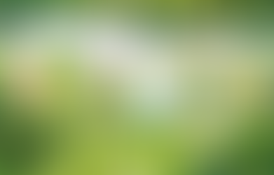 [스케치] 2025 성남페스티벌 현장을 가다:  성남에 펼쳐진 ‘먼저 온 미래’를 만나다