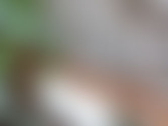 [트렌드] 오감을 충족시키는 굿즈 마케팅: 펀슈머에서 프루스트 효과까지