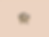 DearFloofs3.png