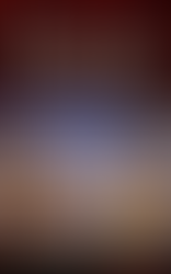 The Sacred Order: And The Mystical Legend Of Saint Francis Of Assisi