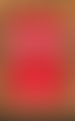 NEXT LEVEL WOMAN: Burn the Rulebook, Build Your Empire