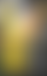 Adjusted Reality: Supercharge Your Whole-Being for Optimal Living and Longevity