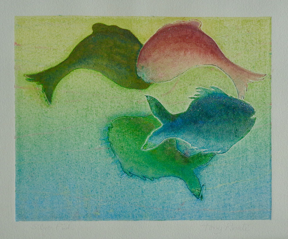 Silver Fish