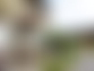 バッチフラワーレメディーセッション神栖市