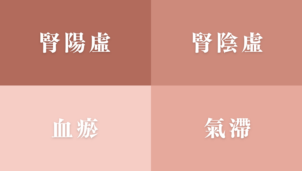 不孕的中醫證型