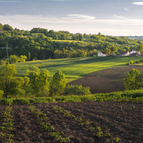 Agriculture and Forests, 2 strengths of the Massif Central