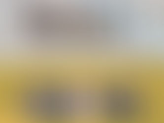 Ce sera Bâle ou Genève