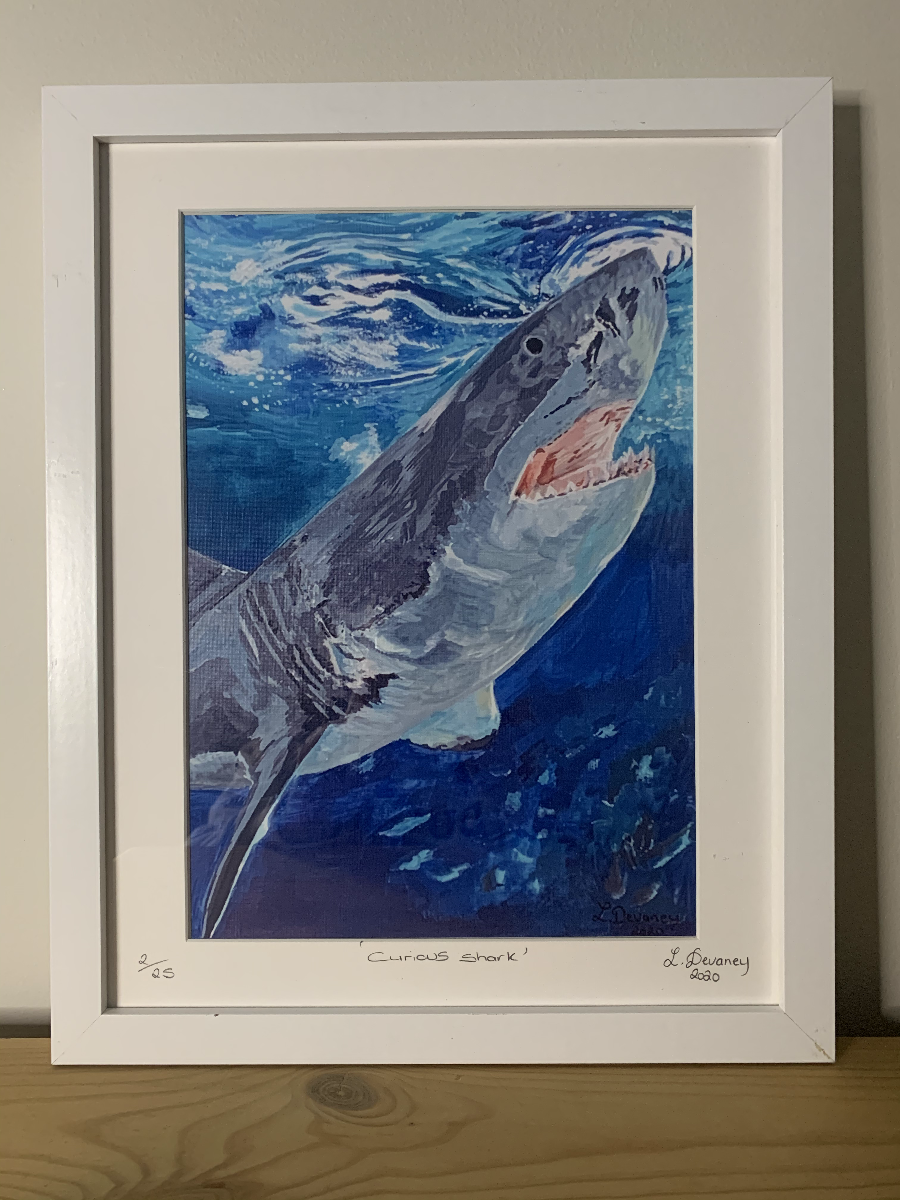 ‘Curious Shark’ High Quality print on canvas paper