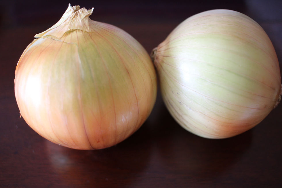 Yellow onion or gold onion. Even though onion peel is not edible, it is richest part in Quercetin content Wouldn't it be nice to grind it and add to our diet? There must be a way. No need to waste rich antioxidant and free radical scavenging content.