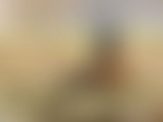 Pastor Alemão com dificuldade de levantar: O que pode ser?