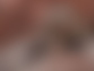 Amplitude de movimento em cães