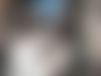 Castração de gata: Como funciona?