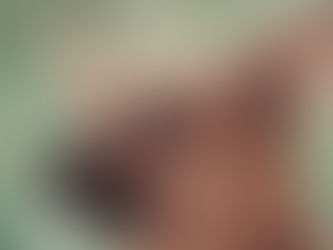 Cachorro com dor ao brincar no parque: o que pode ser?