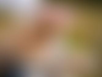 O que fazer se seu cão estiver mancando após uma cirurgia