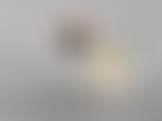 Por que no frio os cães sentem mais dores ortopédicas?