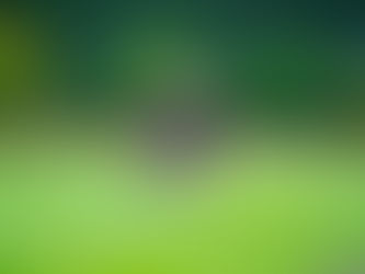 Por que meu cachorro corre torto?