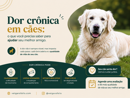 Dor crônica ortopédica em cães