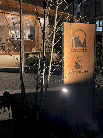 エントランスの夜景