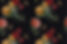 vintage-colorful-roses-pattern-background(1).jpg
