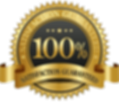 100-money-back-guarantee-logo-100-guaran