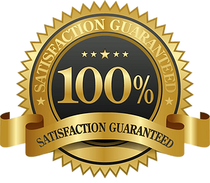100-money-back-guarantee-logo-100-guaran