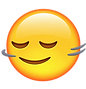 Mas agora vem a parte boa, aqui está tudo que você vai receber (63).png