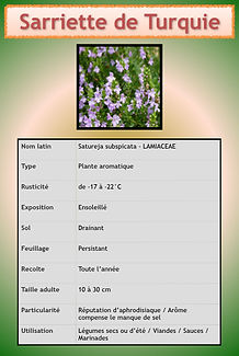 Livret aromatiques.074.jpeg