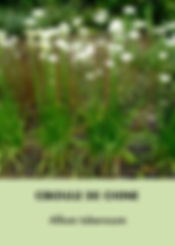 Photos perpetuels (modifiable).011.jpeg