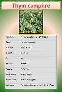Livret aromatiques.096.jpeg