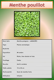 Livret aromatiques.052.jpeg