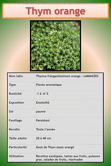 Livret aromatiques.094.jpeg