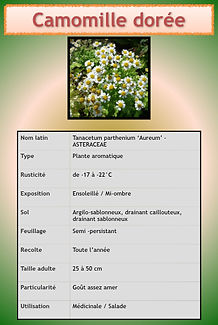 Livret aromatiques.022.jpeg