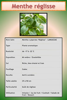 Livret aromatiques.060.jpeg