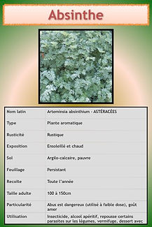 Aromatiques.024.jpeg