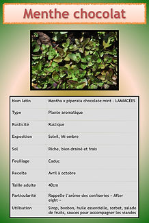 Livret aromatiques.056.jpeg